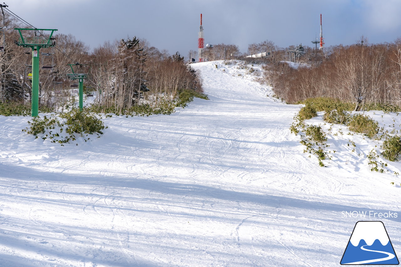 サッポロテイネ｜久しぶりの降雪で粉雪コンディション復活！ゲレンデ上部、2本の中斜面が絶好調(*^^)v